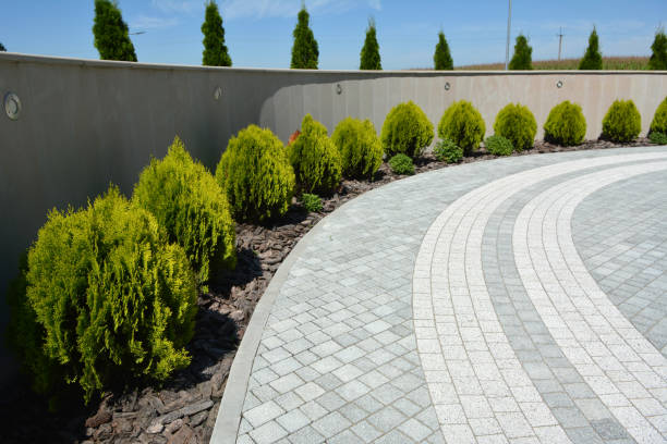 Best Professional Driveway Pavers  in Owensville, MO